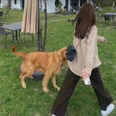做梦人